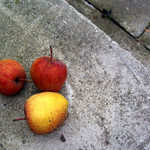 Zapomenutá jablíčka