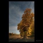 Tam kde bývá voda.