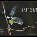 PF 2005