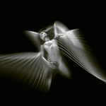 Na křídlech slasti