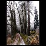 Trautenberkova cesta