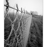 ... udeřily mrazy ...