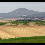 Zelená krajinka