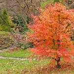 Vzpomínka na podzim