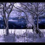 "modrá" je dobrá...