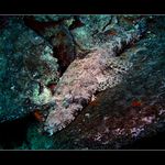 Aj armáda sa ma čo od nej učiť