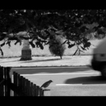 ubíhající čas...