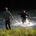 Každá rybka dobrá