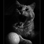 ještě jednou šáhneš na ten ...