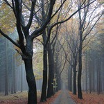 .....SMUTEK V ALEJI.....