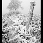 Je ti teplo děvče?