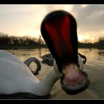 A je po foťáku ...