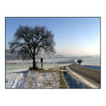 ... chvilka zimy ...