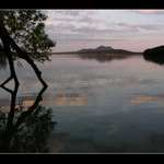 Tanečnice