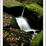 Šumavská zákoutí II.