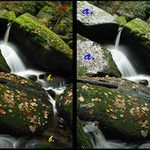 PROSÍM - NEHODNOTIT!!!