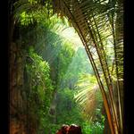 <b>Sluneční hřeben.</b>