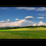 Když sem polem šel...