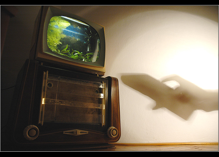 <B><U>... Home Theater ...