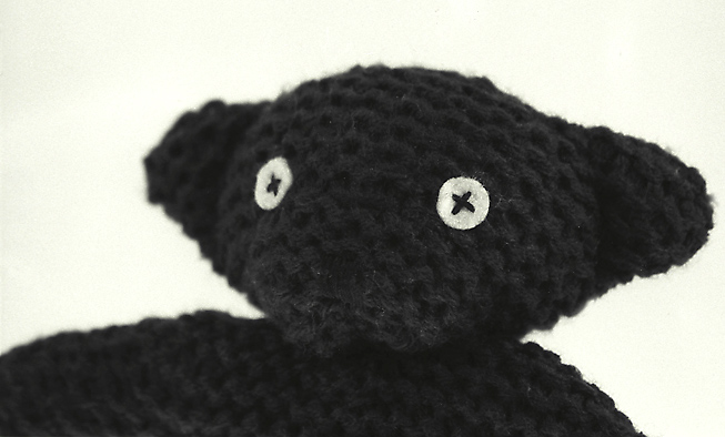 Teddy