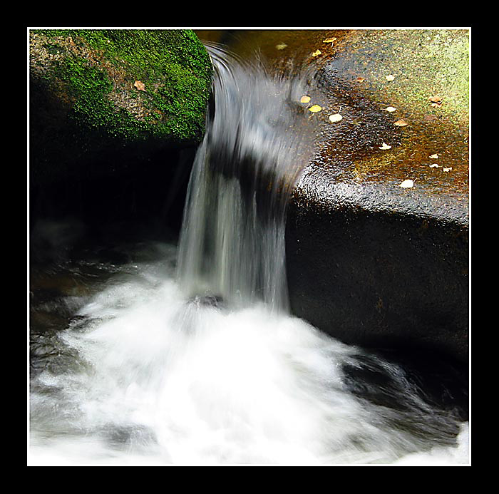 PLYNE TUDY KUDY SI URČÍ