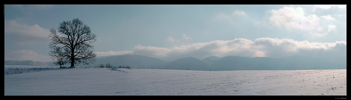 Winter has come