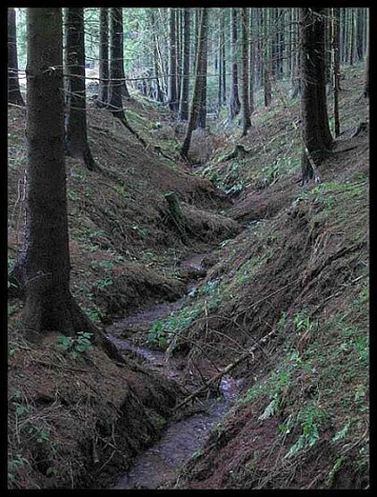 Smutná krajina bez sněhu.