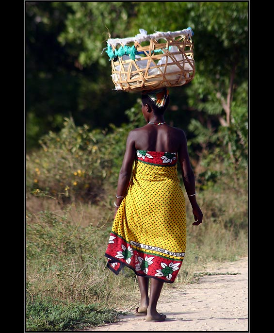 RIZIKI NI MALAJIWA NIPATATA