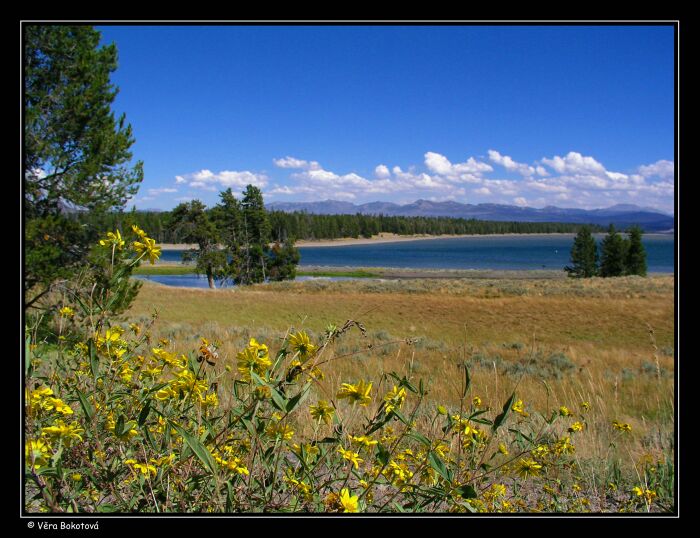 <B><U>JEZERO</U></B>