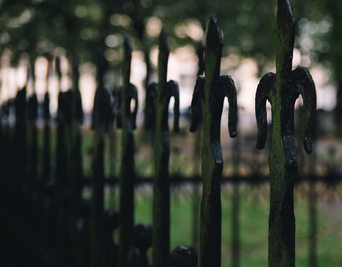 SECRET GARDEN