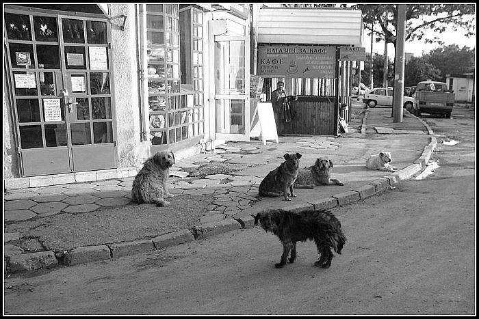 Hele kluci, fotograf!!!
