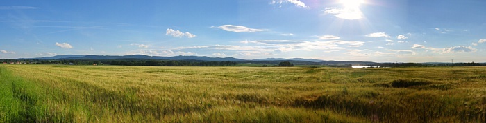 Panorama Blanského lesa