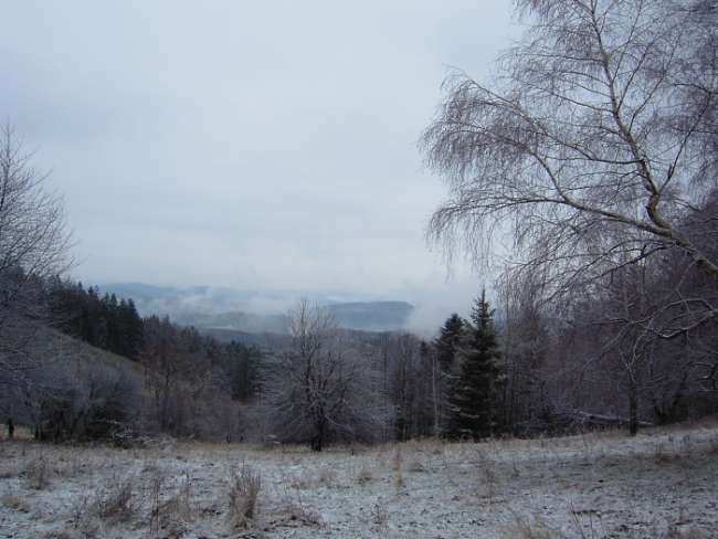 Zimní krajina