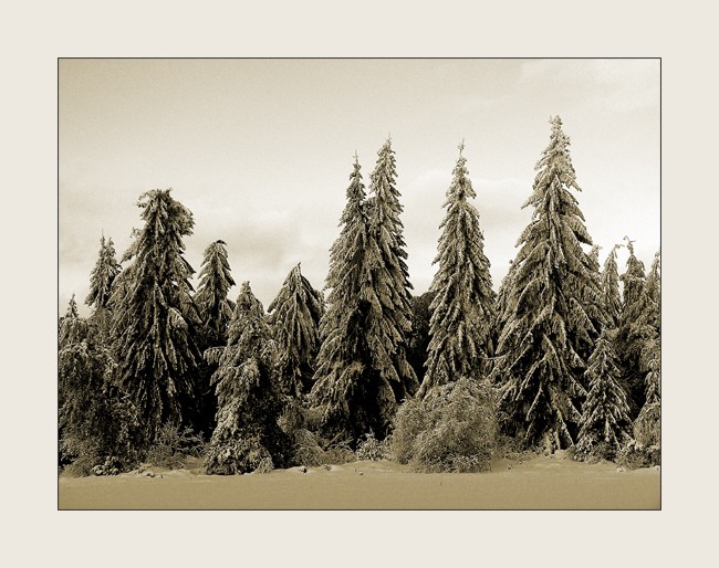 Hranica SK-PL
