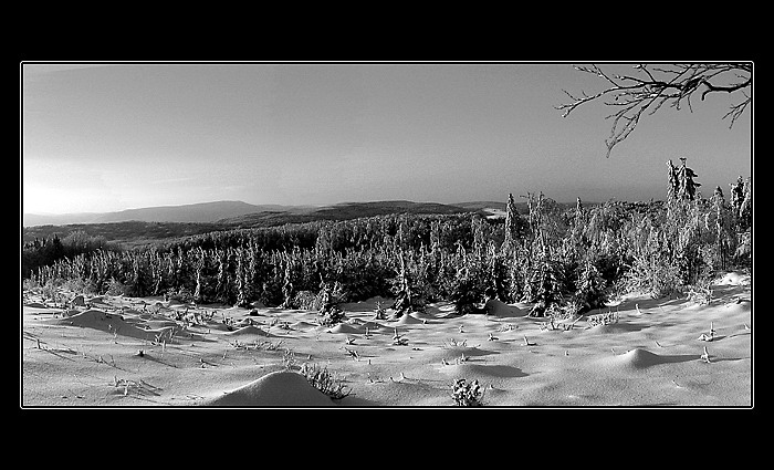 Panorama I.