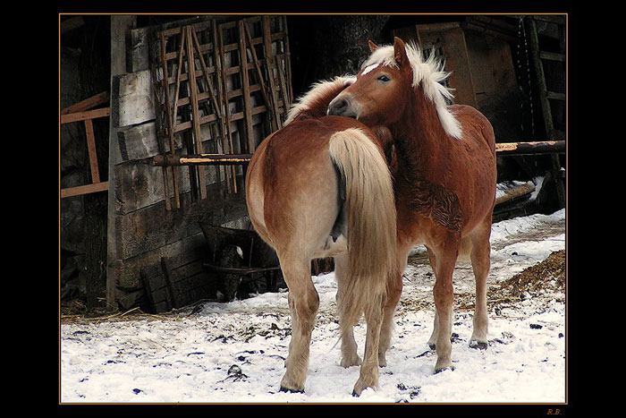 My chceme byt sami