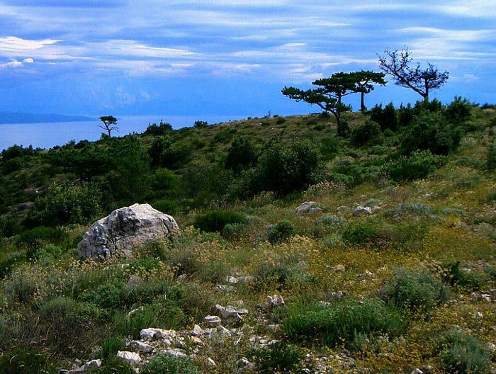 Hvar - zaprší?