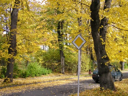 Přikázaná barva podzimu