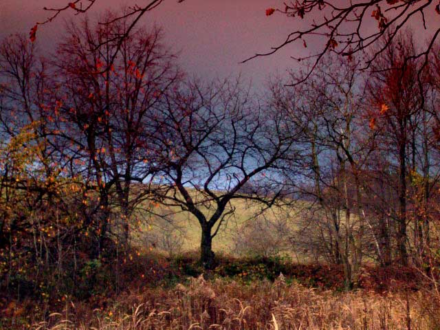Strom 8.11.04