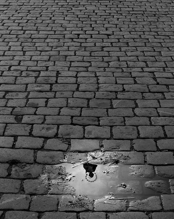 nalezeni ztracene viry