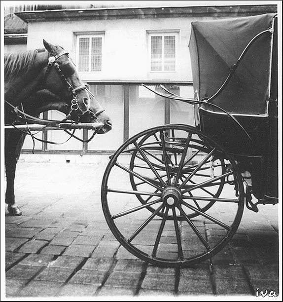 Alpha&Omega (Začátek a konec)