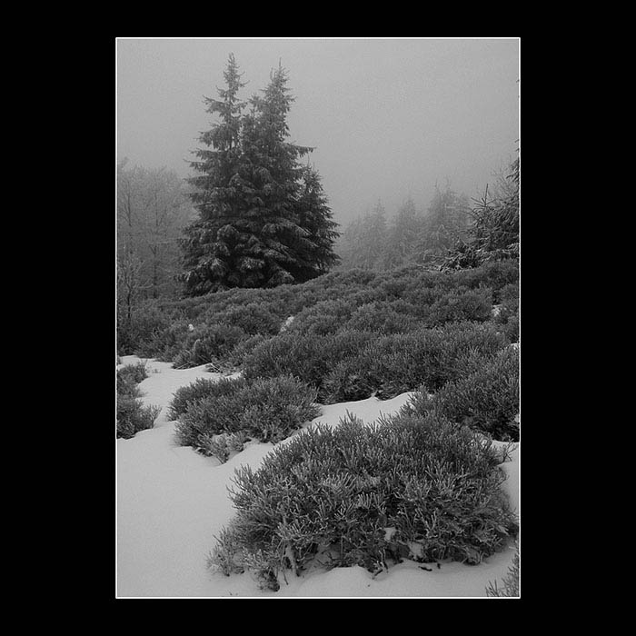 <b>...full of emptyness</b>