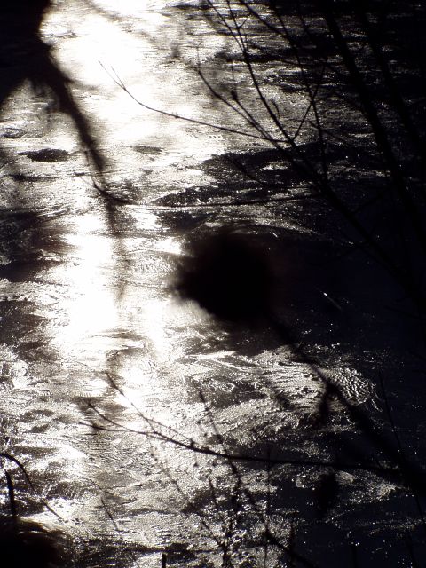 lednove slunce na lede