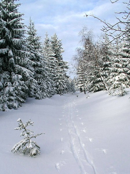 krušnohorská 2 silvestr2005