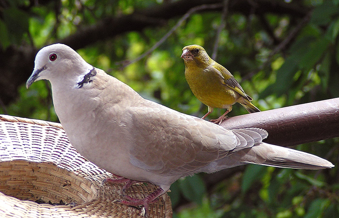 Do řady a podle velikosti