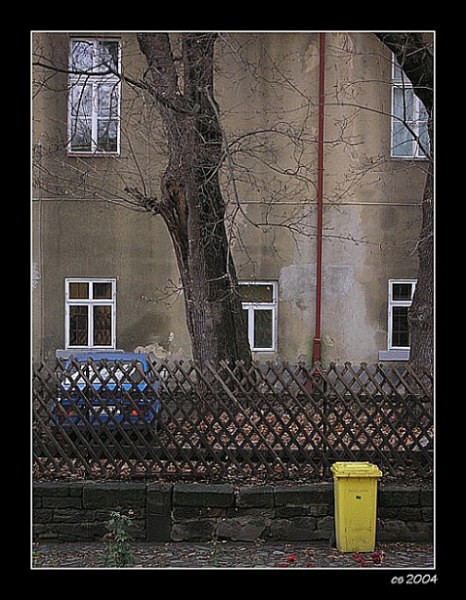Modrožluté soužití