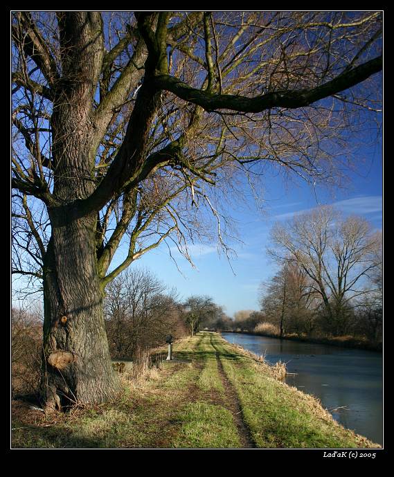 <b>podivná zima</b>