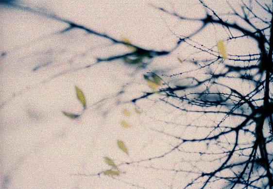 spanning tree