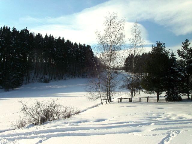 Zima