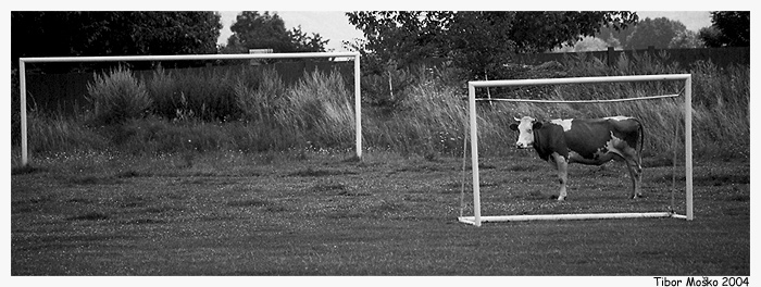 1. liga
